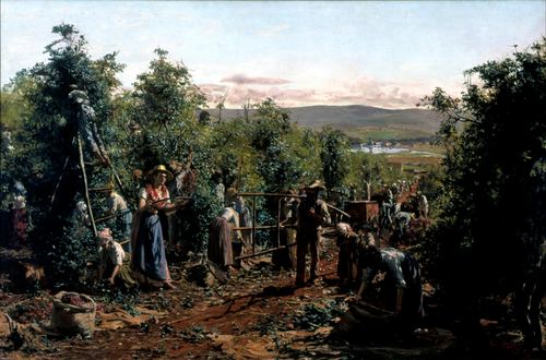 A Colheita (The Harvest)